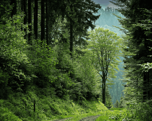 ki vagyok én önismeret