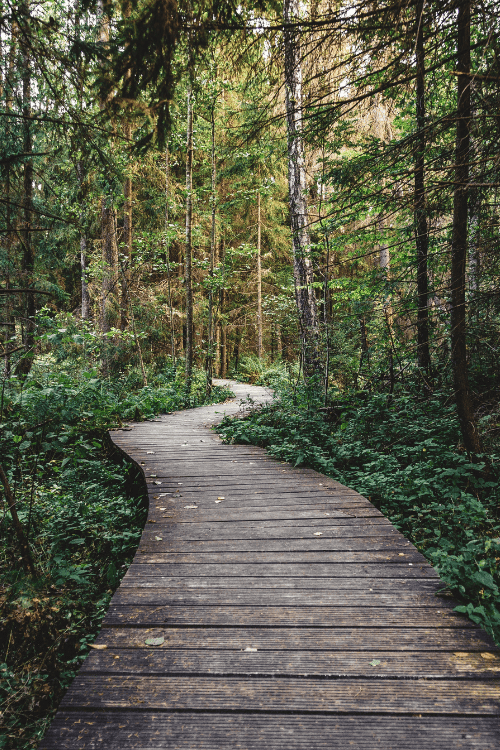 hogyan kezeljük a szorongást