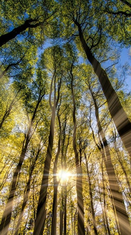 magán pszichológus kecskemét